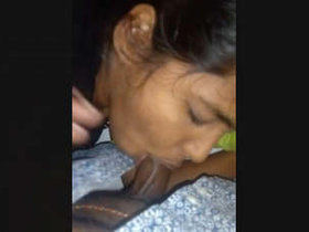 A charming Indian woman performs oral sex