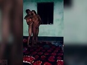 MMS video of milf Desi being fucked by her boyfriend XXX