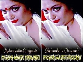 Suitable for Pure Megha White Panjabi